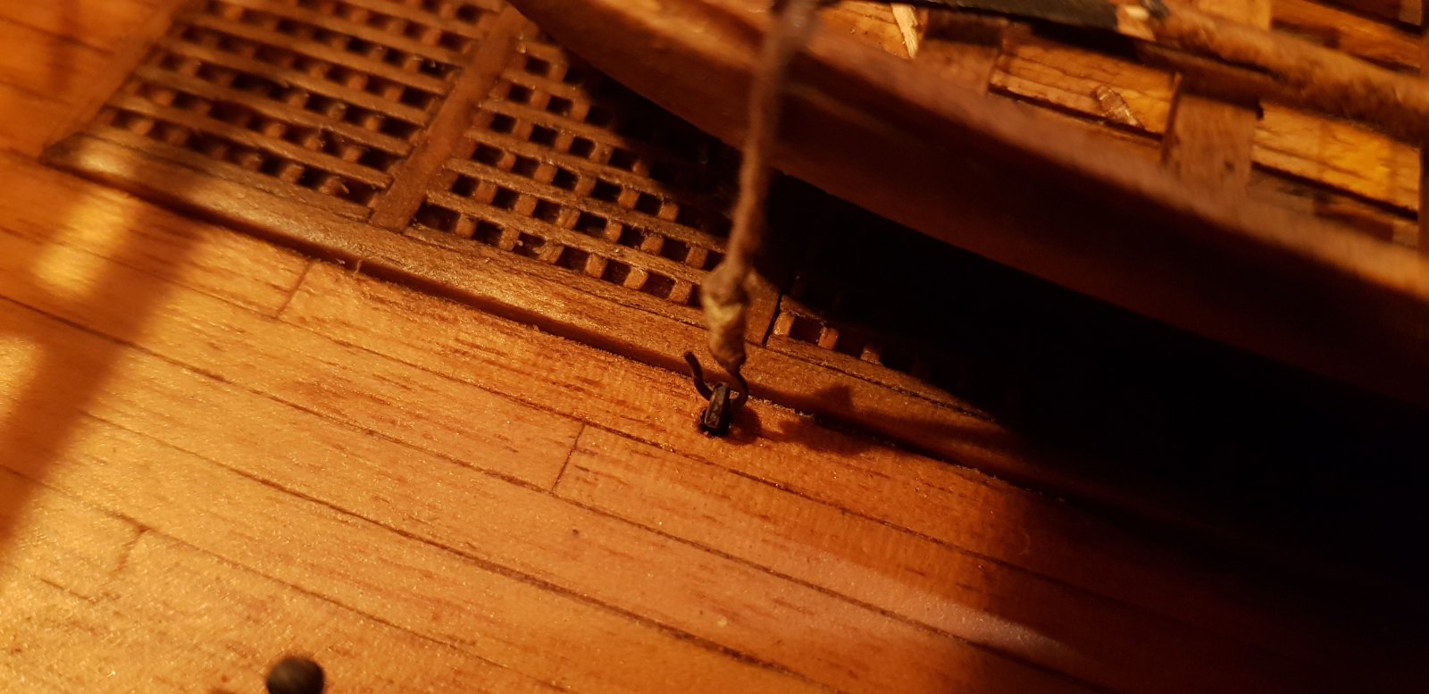 20201106_195210.jpg