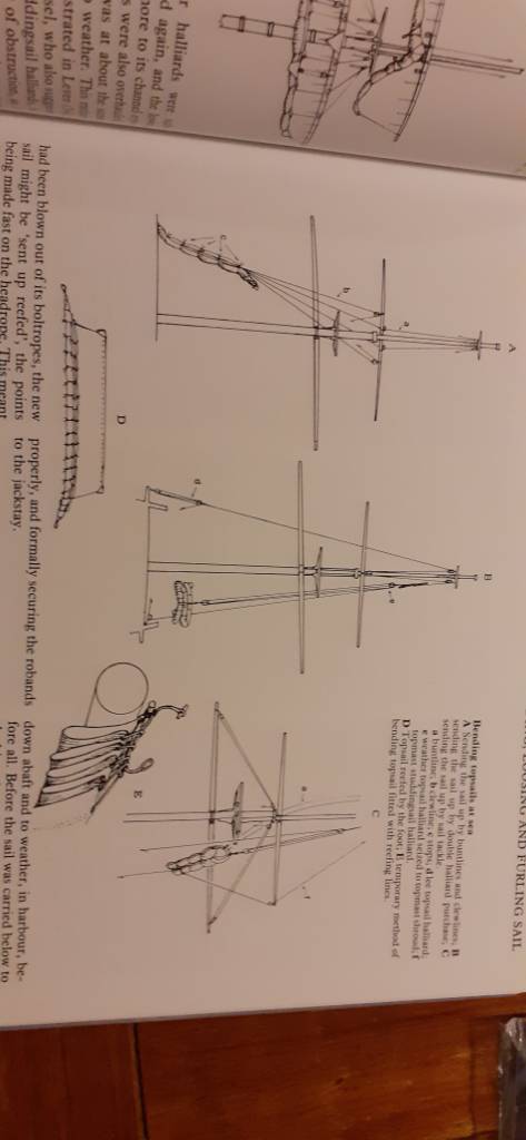 20201125_181334.jpeg