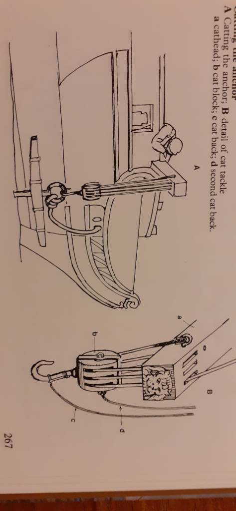 20201125_181557.jpeg