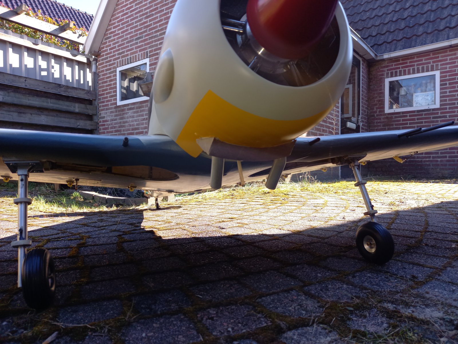 20210319_121845-1-jpg.428988