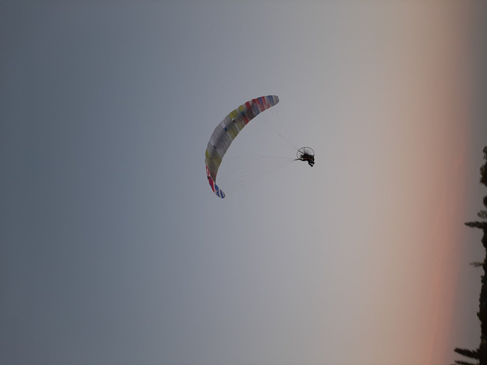 20210616_215711[1].jpg
