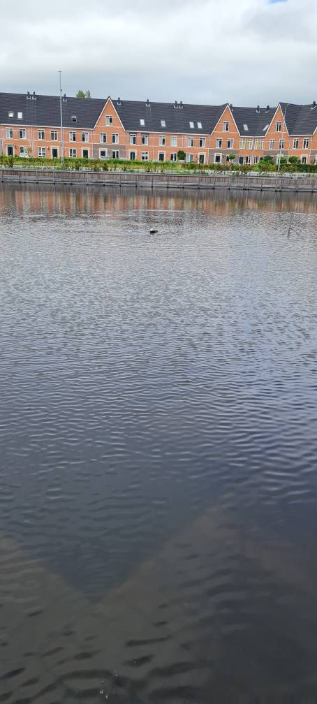 20210620_125421.jpeg