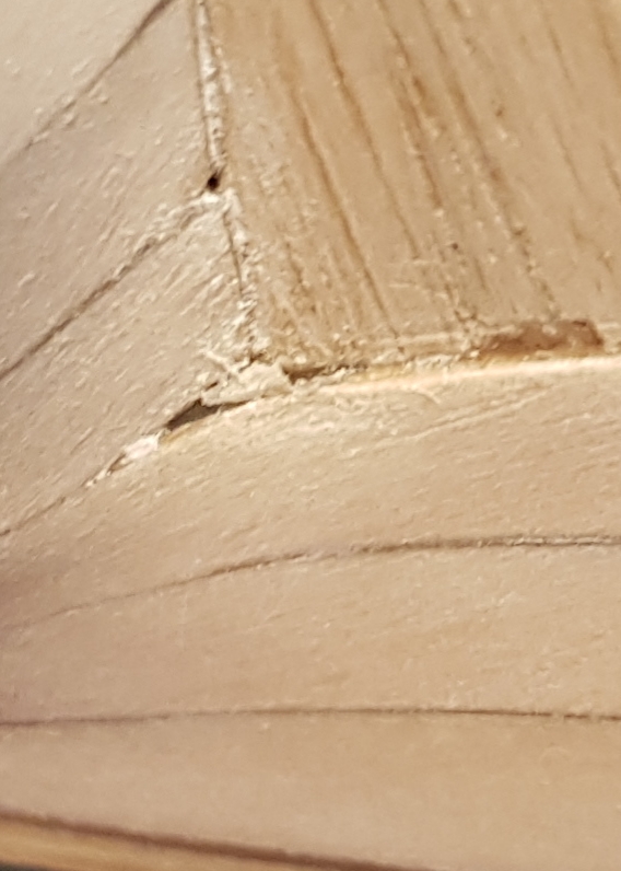 20210715_195212.jpg