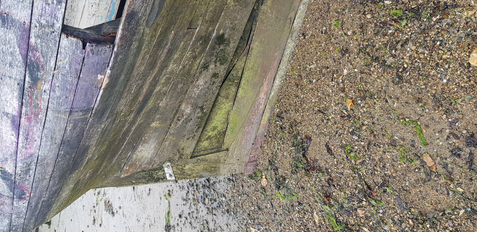 20210724_162729.jpg