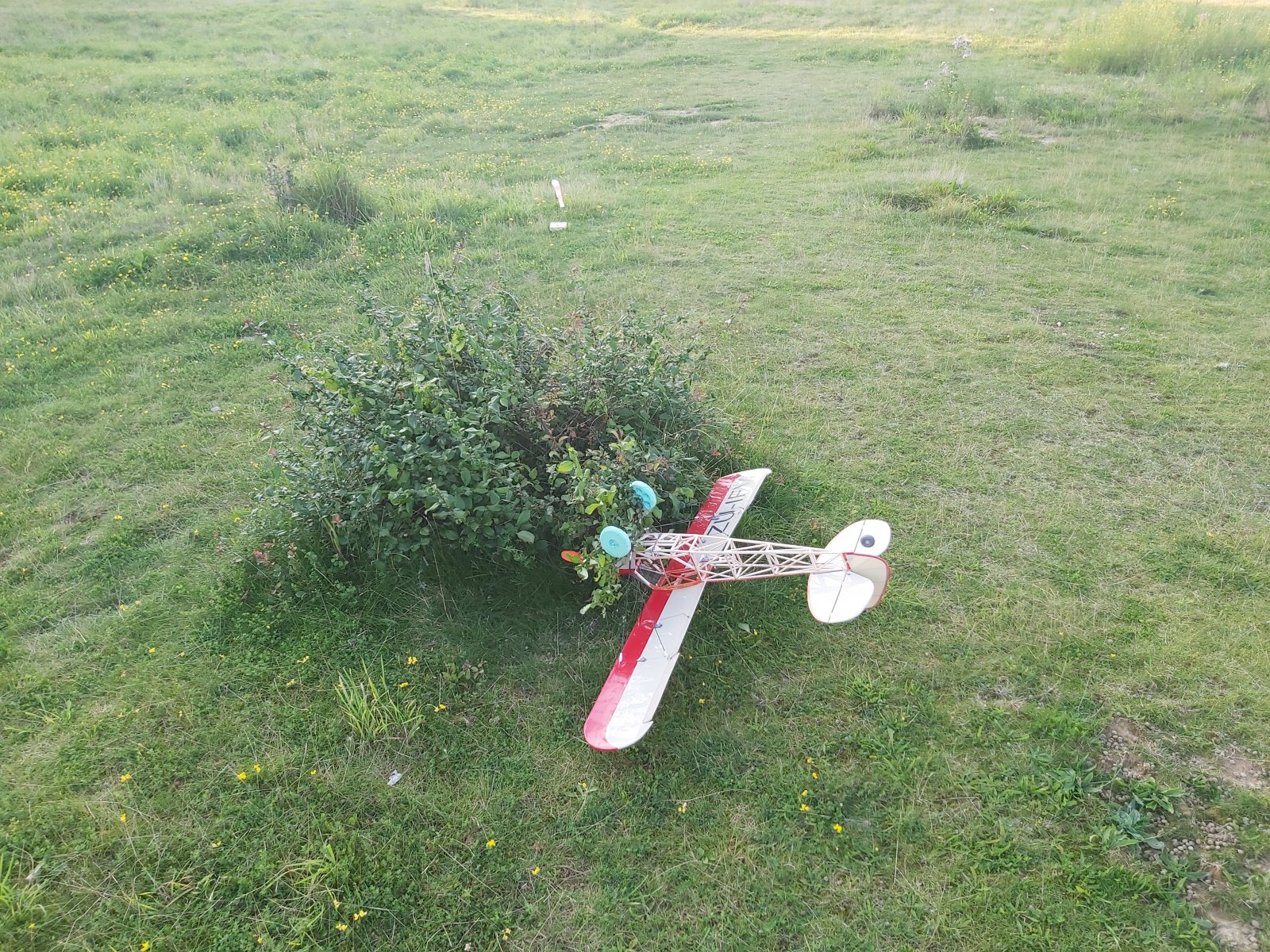20210811_200720.jpg