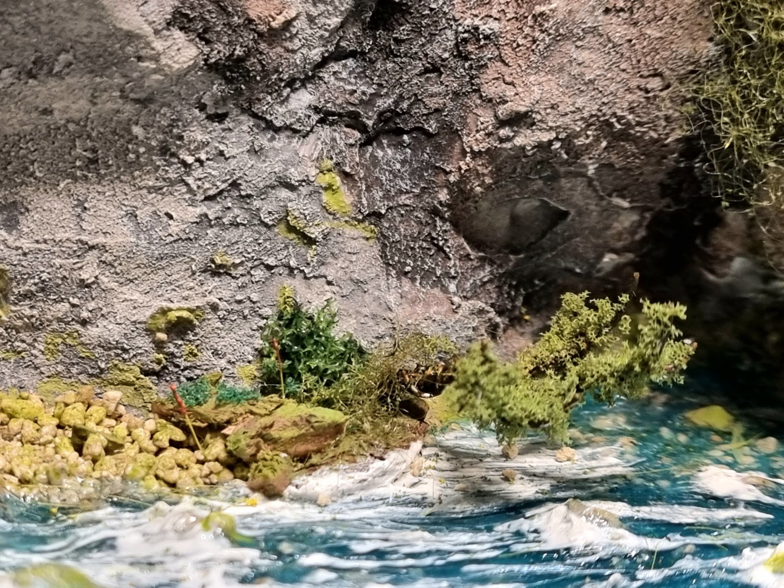 20220322_032156.jpg