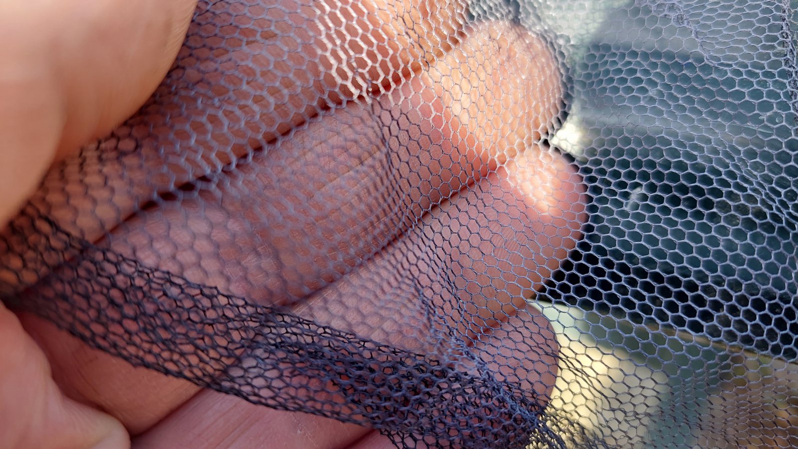20220411_175209.jpg