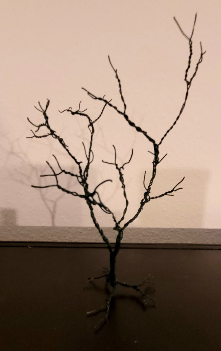 20220517_212215.jpg