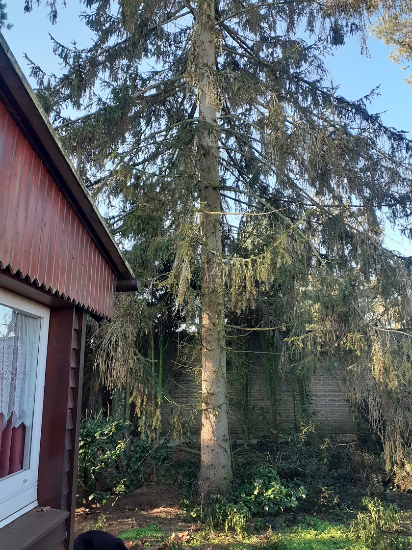 20221214_113133.jpg