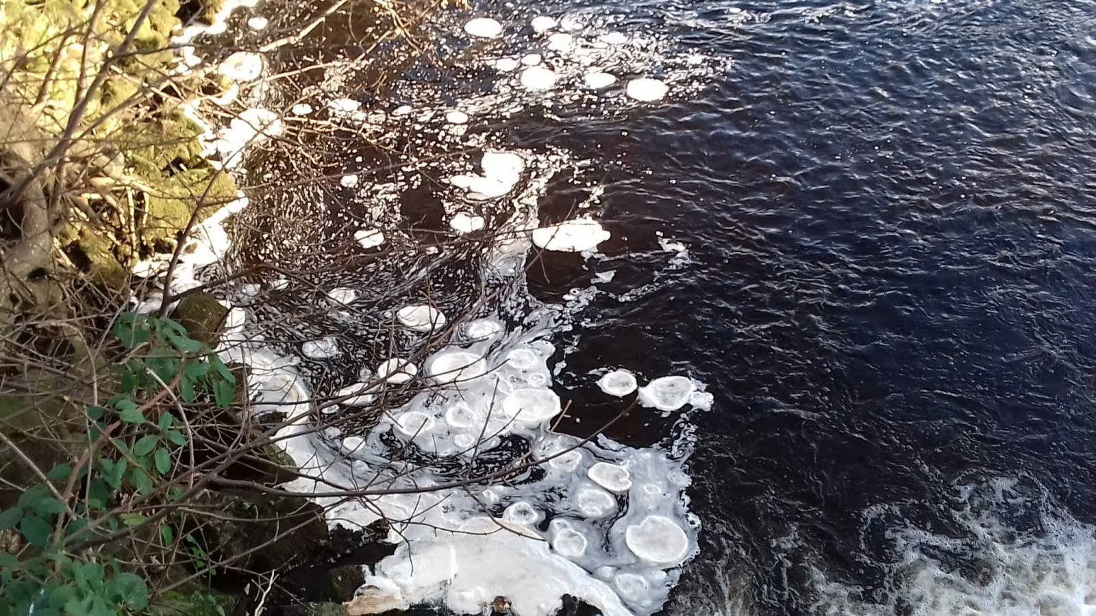 20221215_131810.jpg