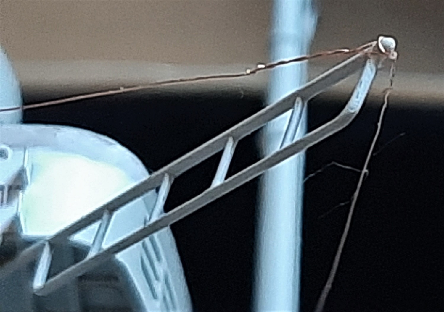 20230616_185239.jpg