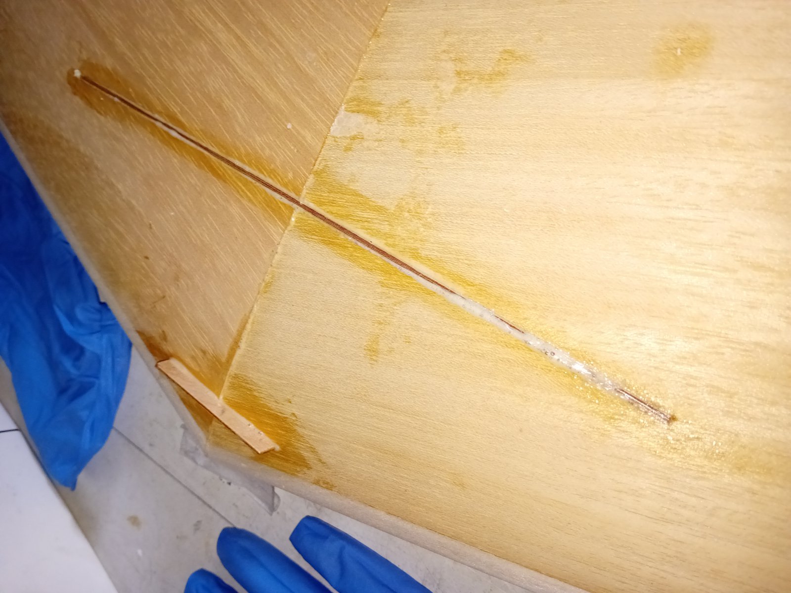 20231007_083409.jpg