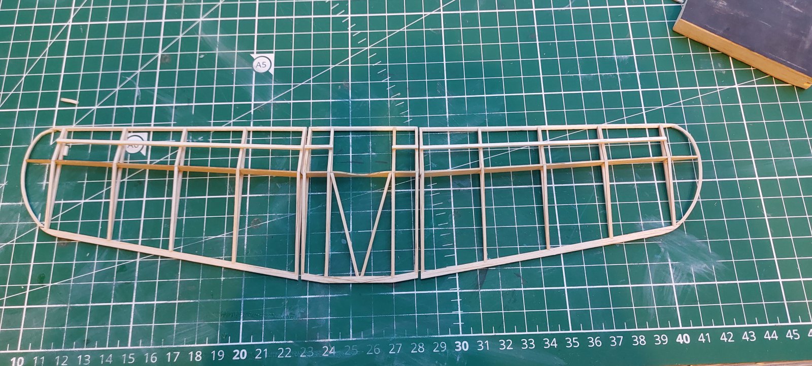 20231203_161343.jpg