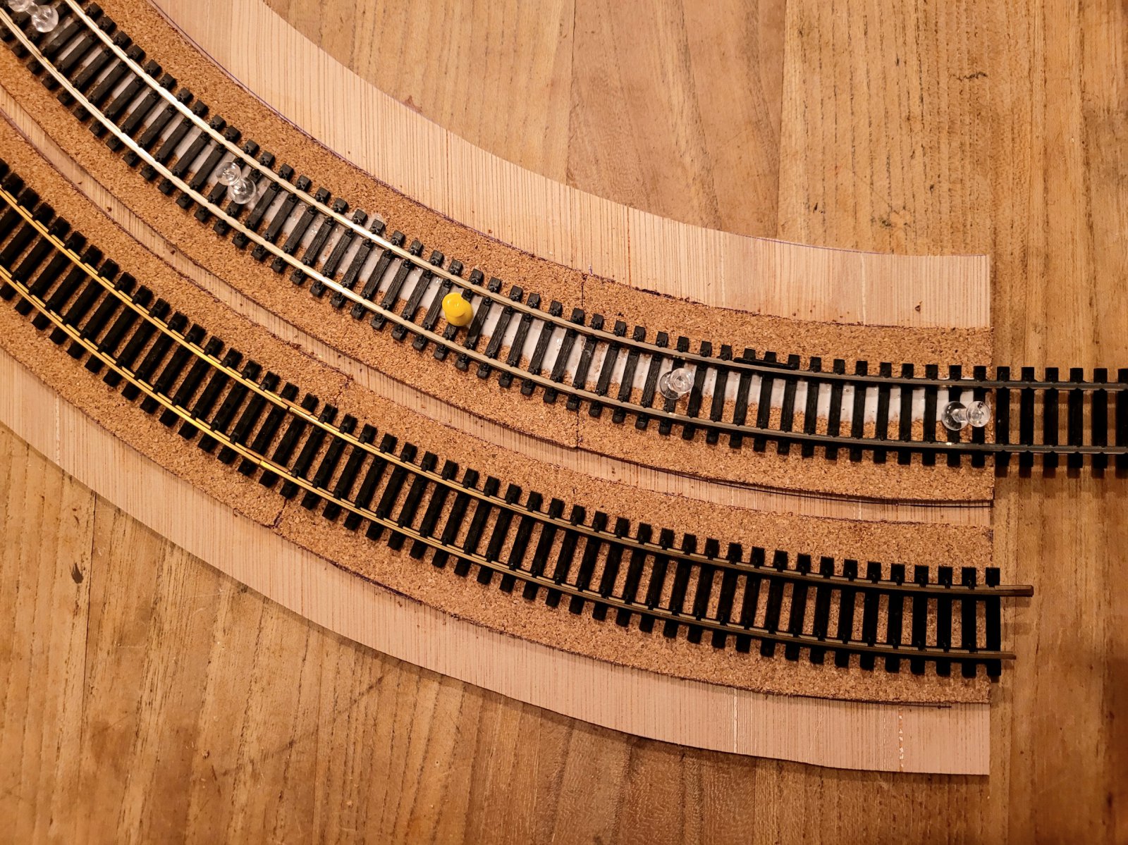 20240229_221546.jpg