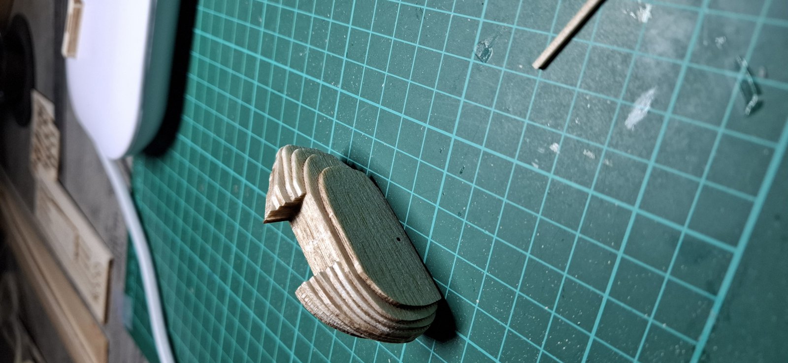 20241114_162341.jpg