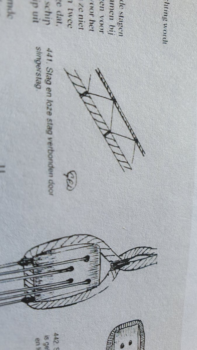 20250511_112613.jpg
