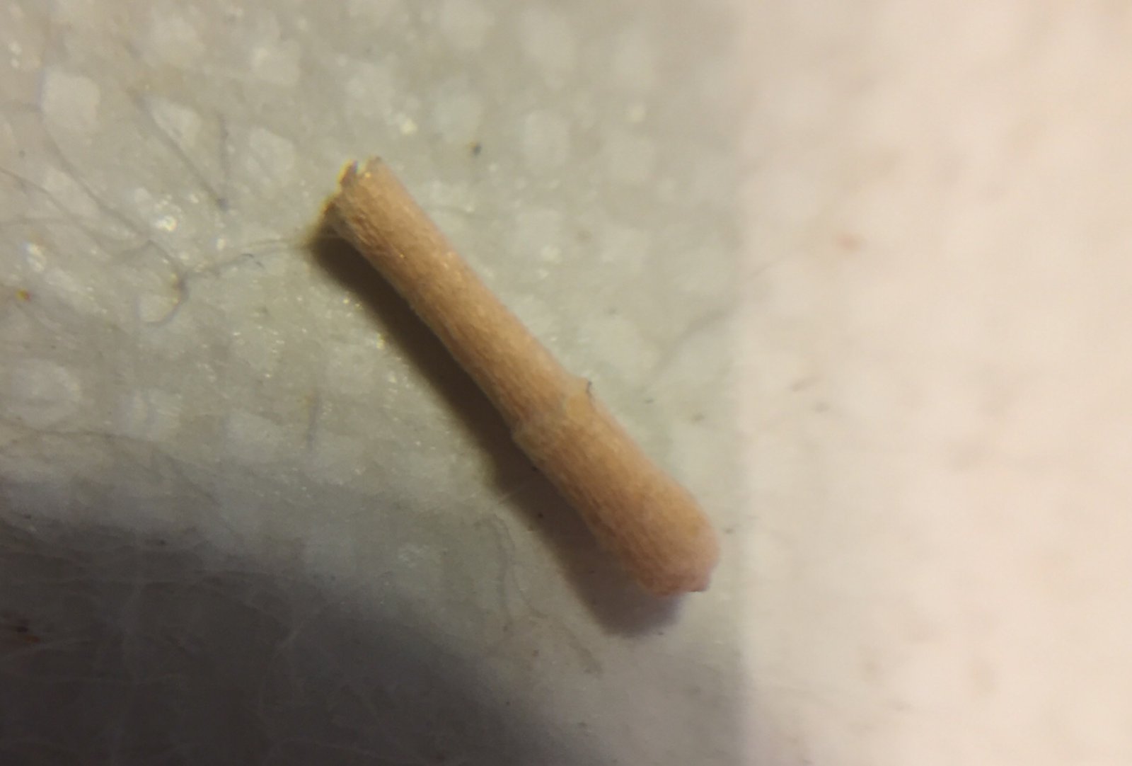 23A8D584-0B4C-4E42-9F54-B60D03D935D0.jpeg