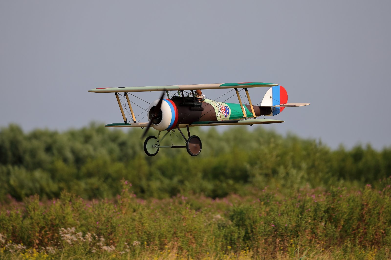 3E6A2297.JPG