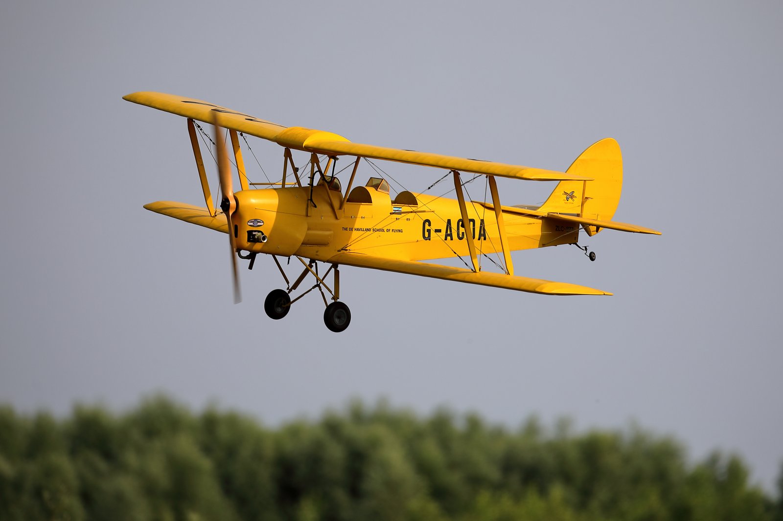 3E6A2391.JPG