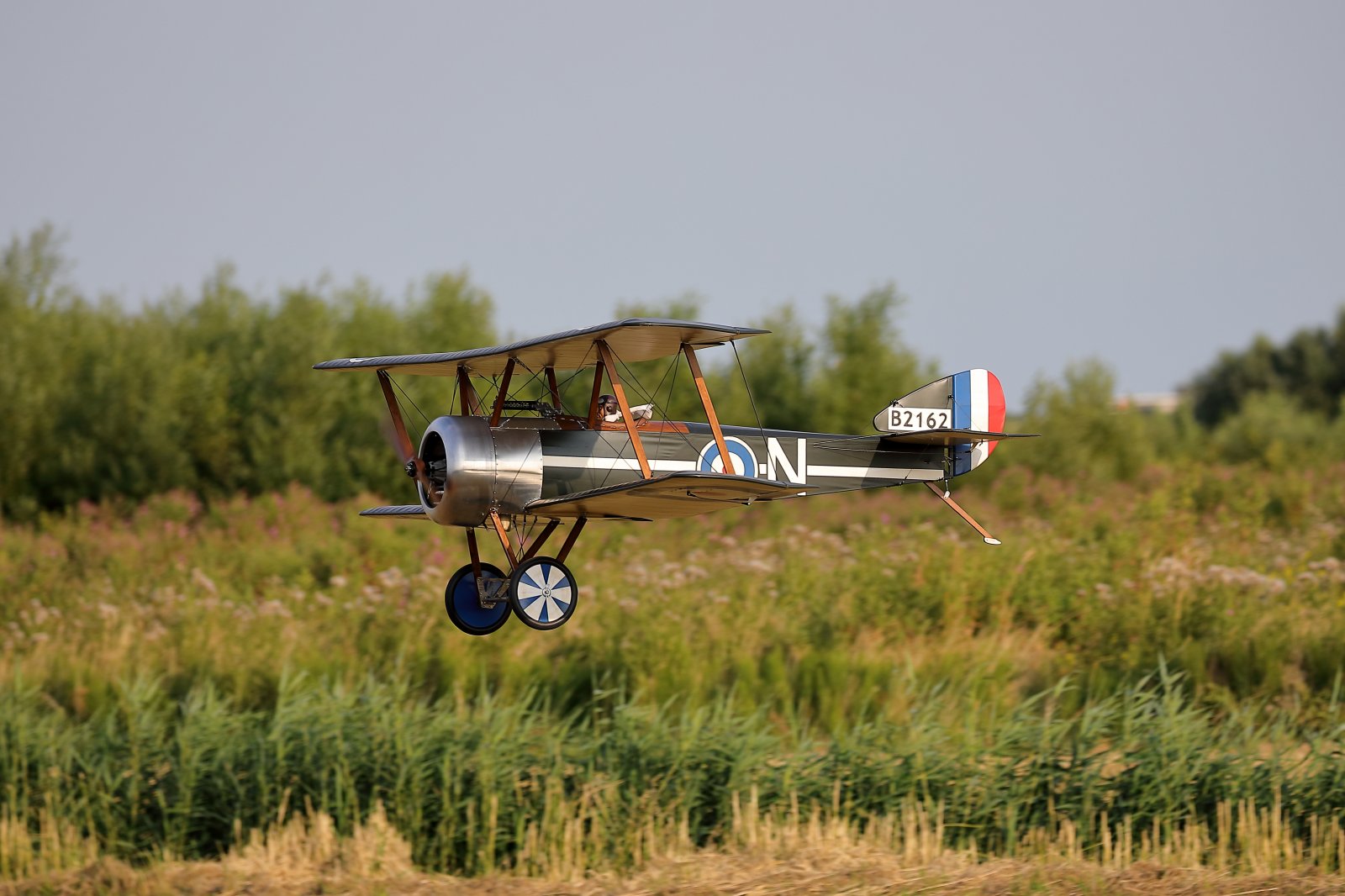 3E6A2815.JPG