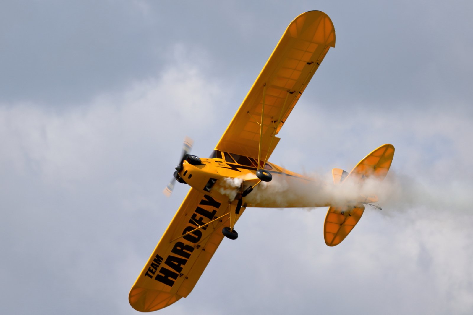 3U1A3121A.JPG