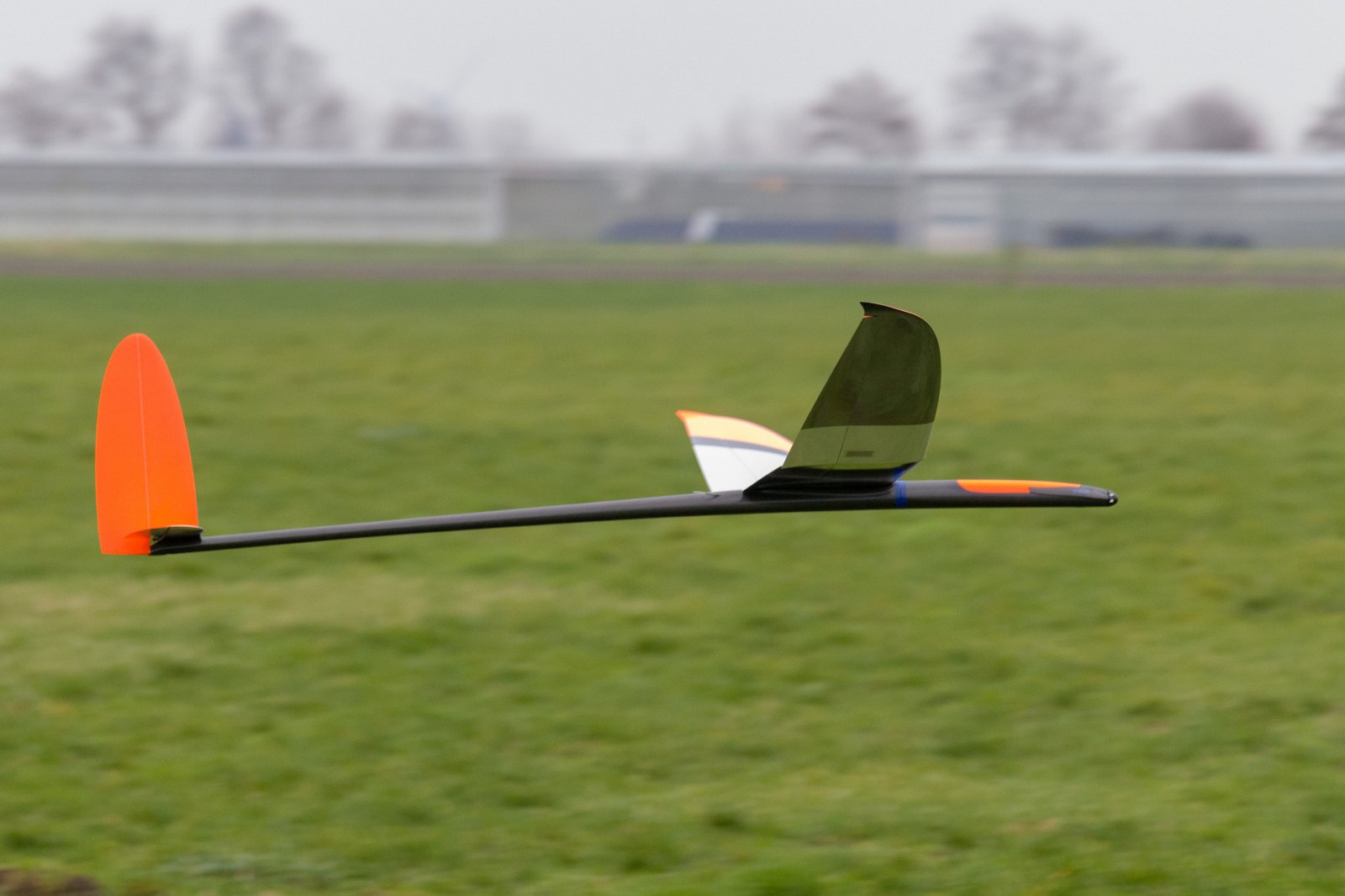 5F9A4008.jpg