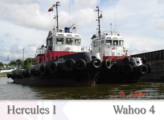 60= HERCULES  I - 2004 - ex SMIT NEDERLAND.jpg