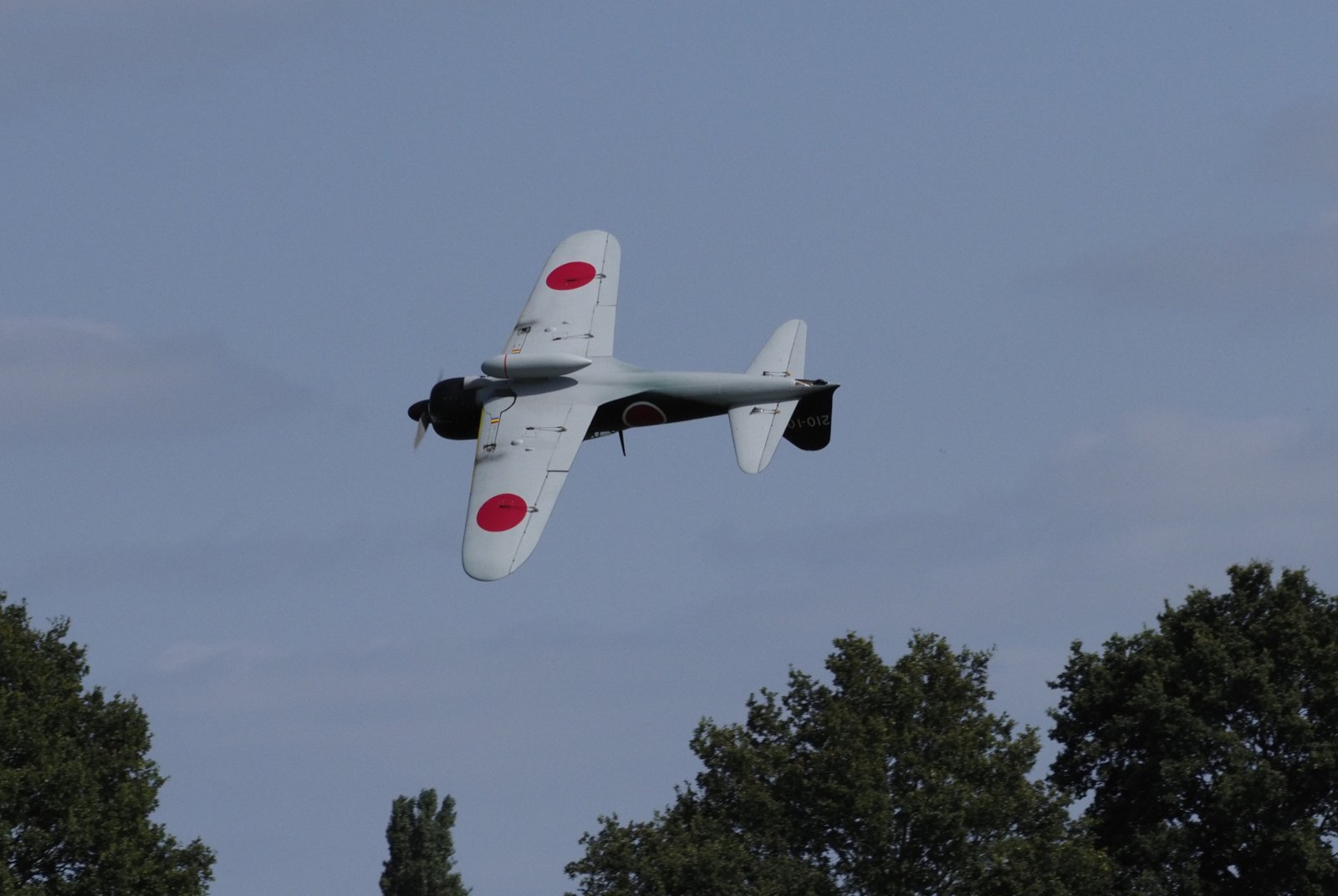 _9040140_cr.jpg