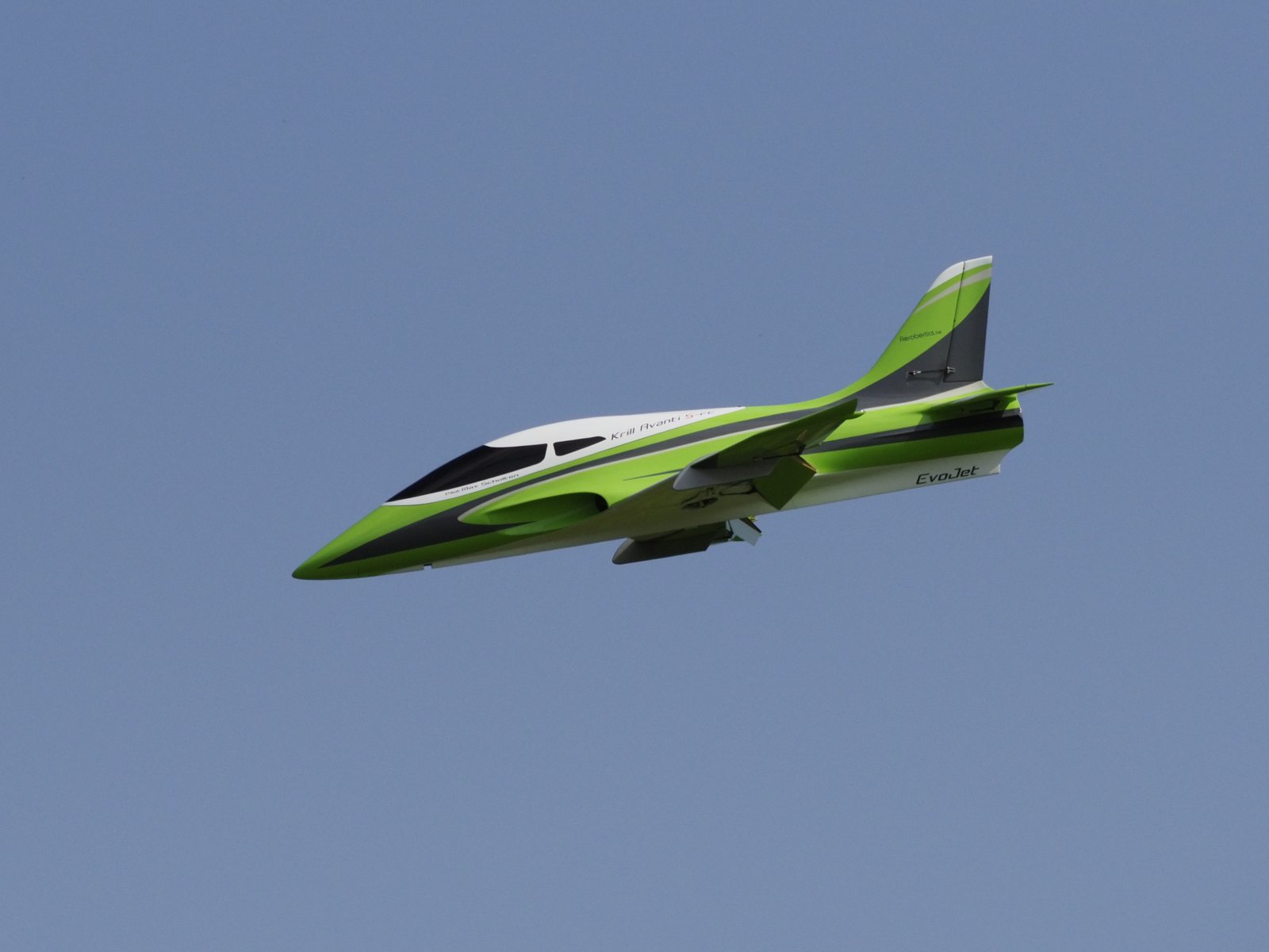 _9040178_cr.jpg