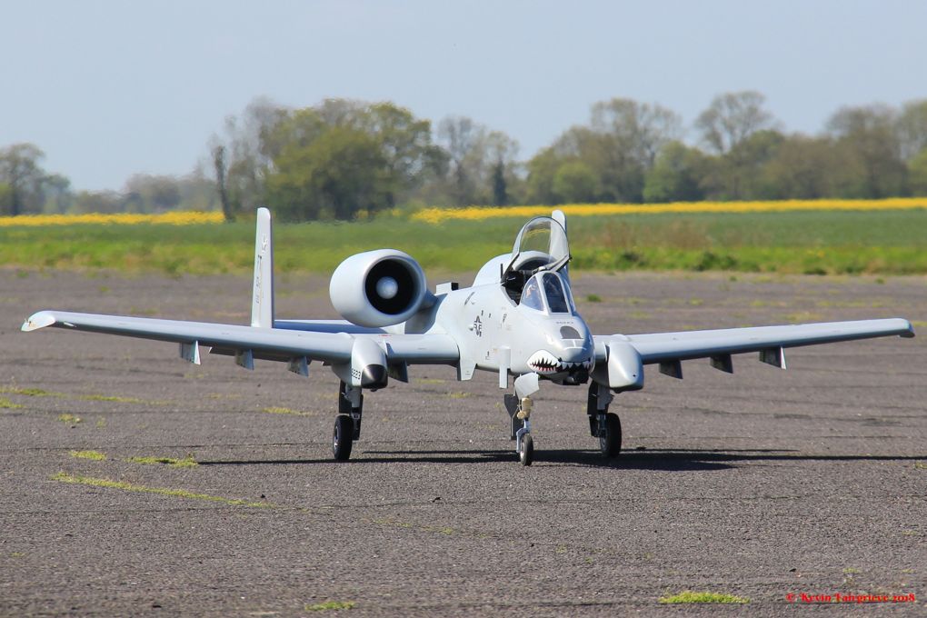 a1101.jpg