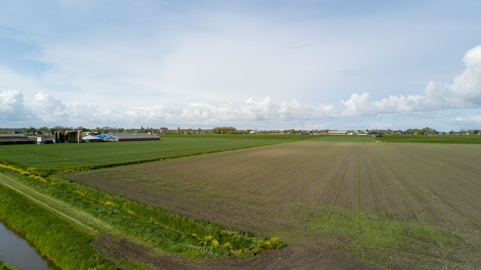 Achtertuin.jpg