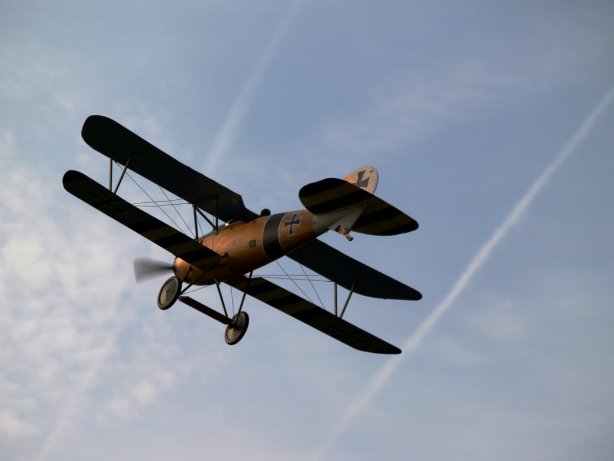 Albatros DVa_Norbert-02.jpg