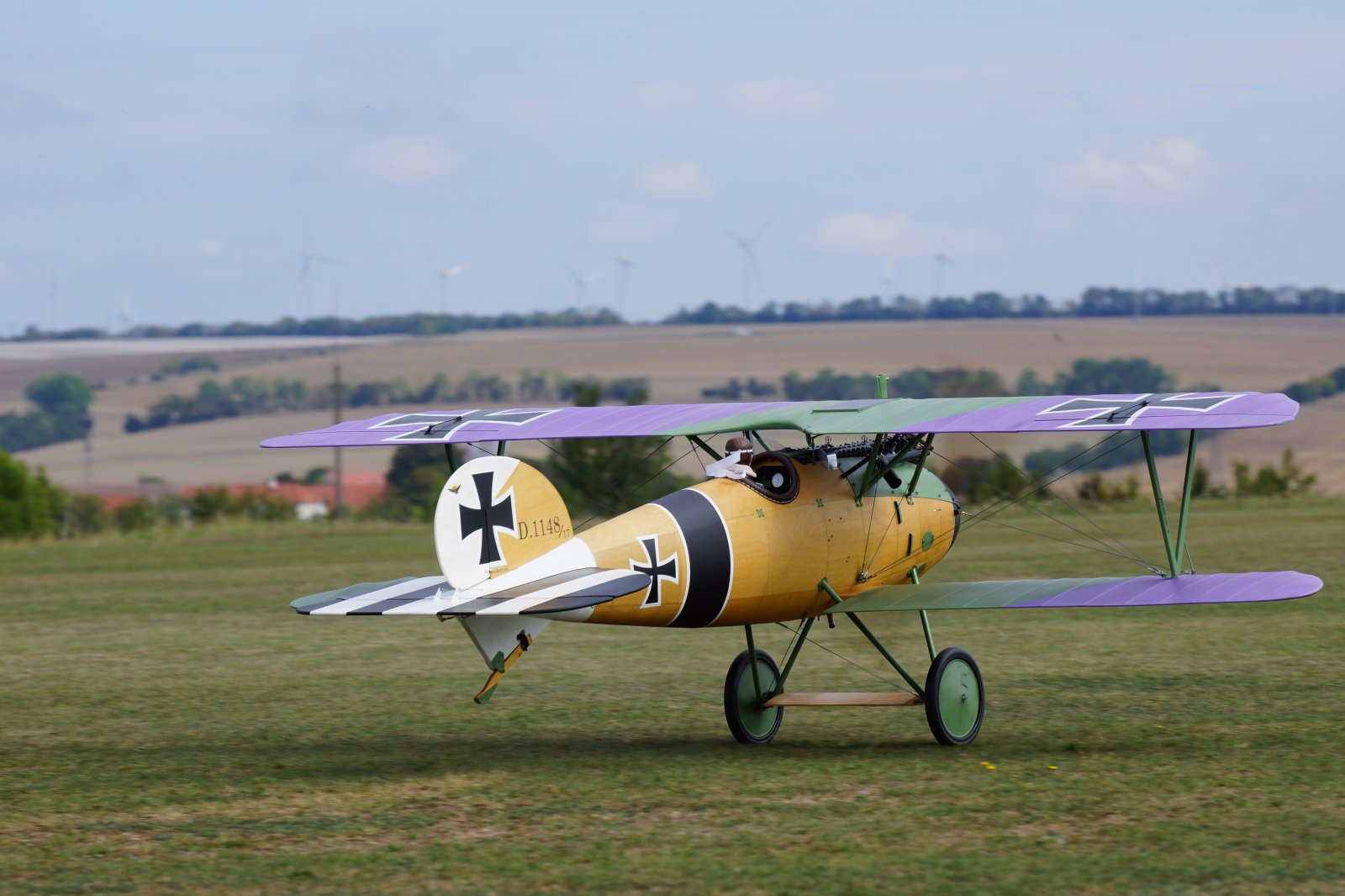 Albatros JW (10) - kopie.JPG