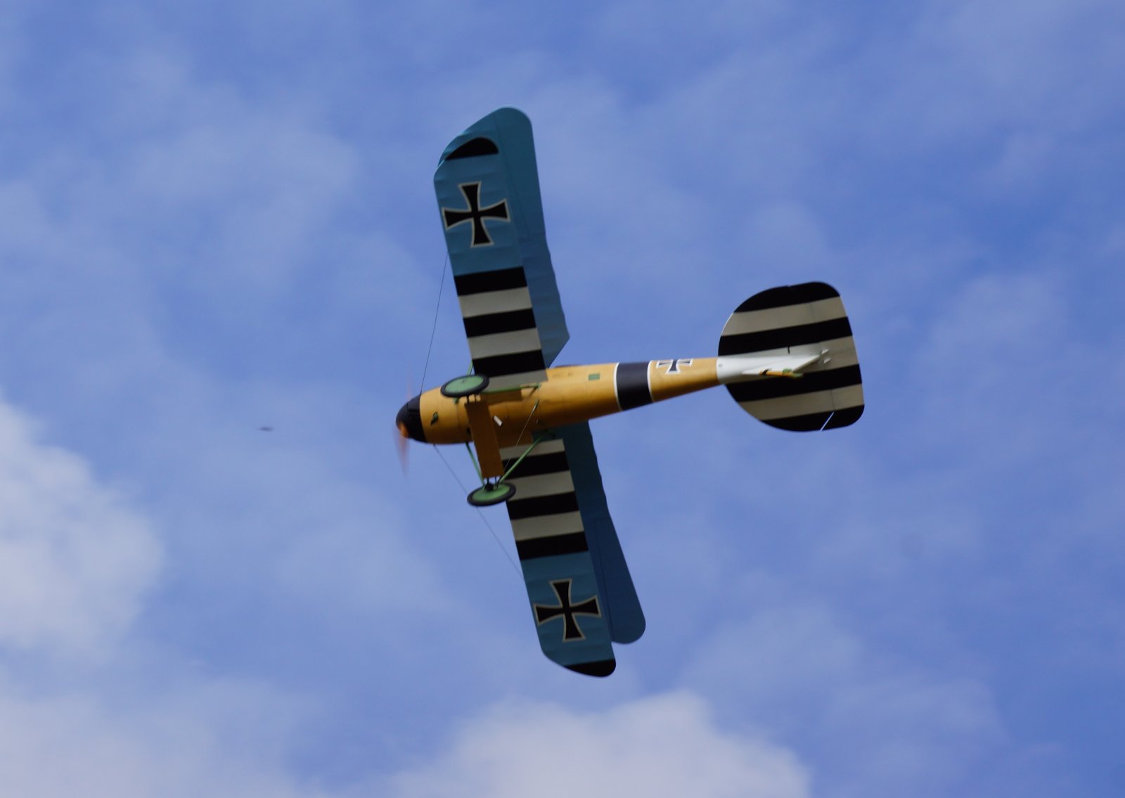 Albatros JW (11).JPG