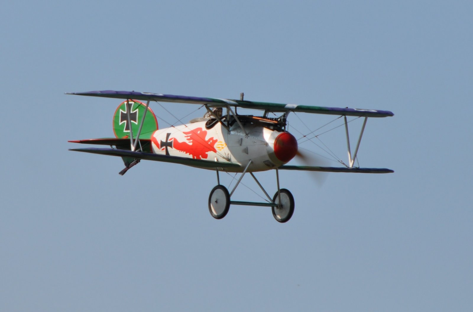 Albatros JW (2).JPG
