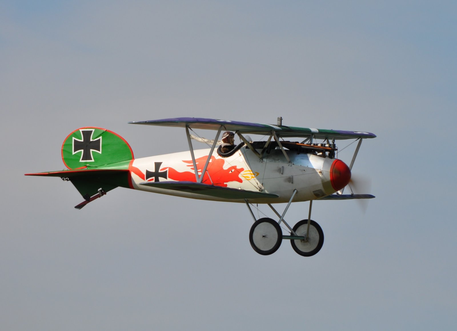 Albatros JW (3).JPG