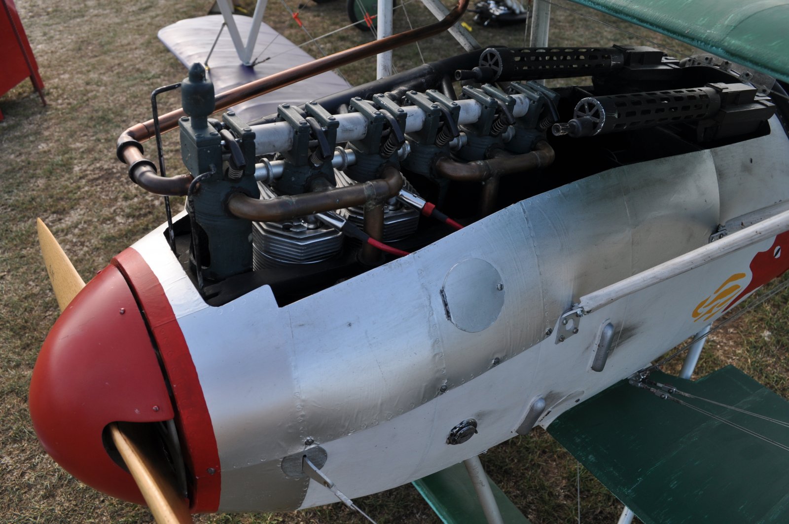 Albatros JW (4).JPG