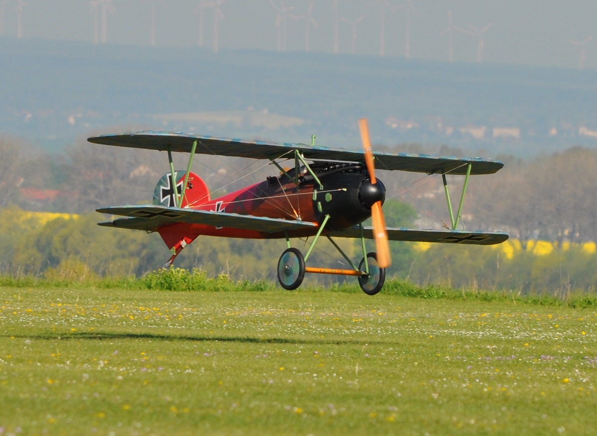 Albatros JW (5).JPG