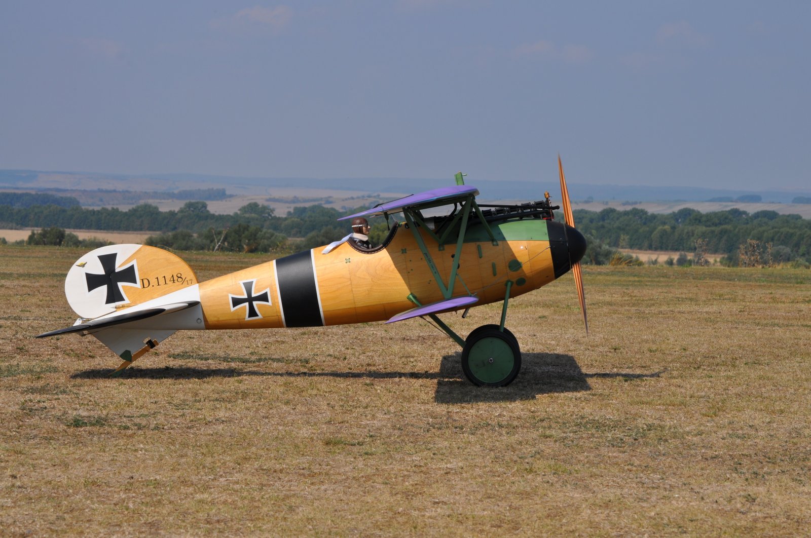 Albatros JW (7).JPG