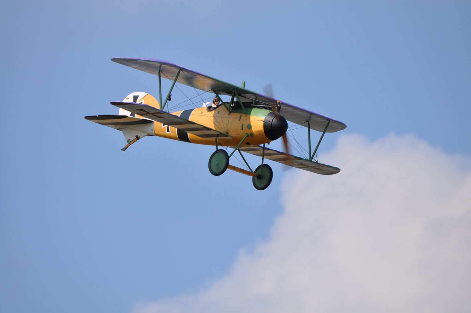 Albatros JW (8).JPG