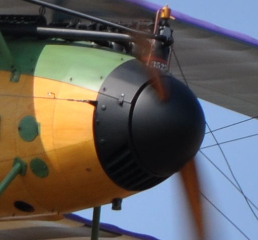 Albatros JW (8) - kopie.JPG