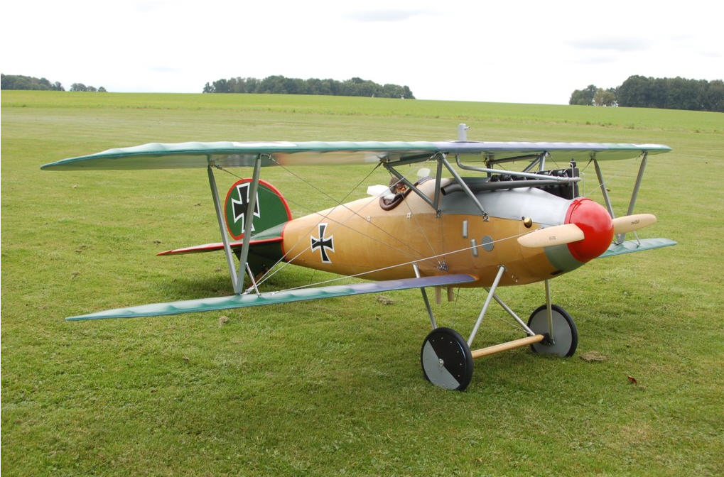 AlbatrosDV van Wonneberger.jpg