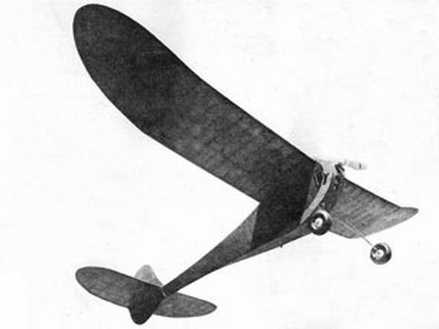 Albatross.jpg