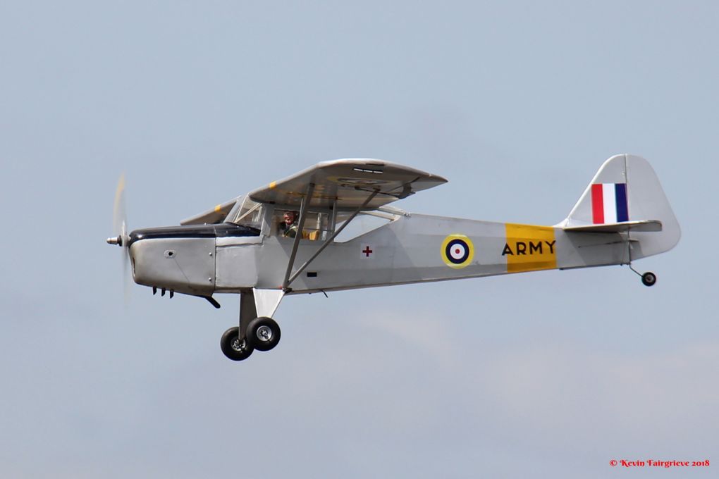 auster1.jpg