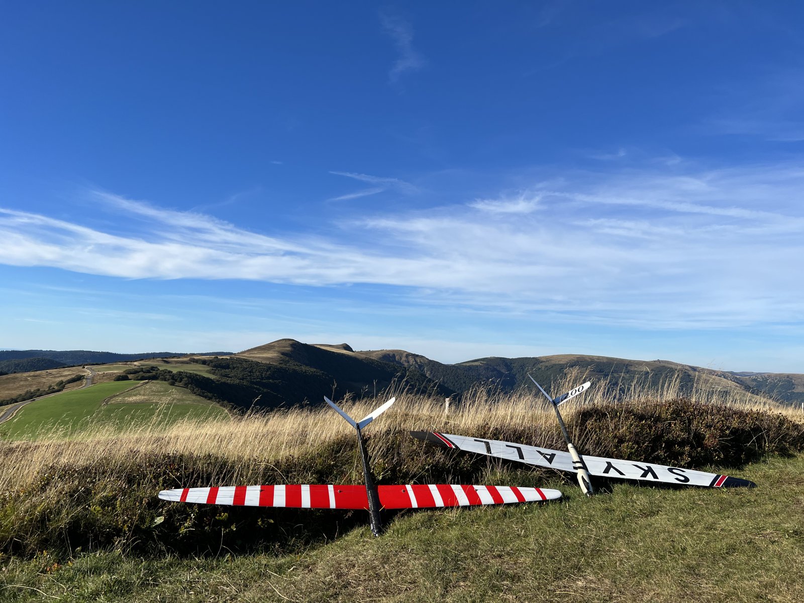 B3CC2436-531E-4176-8B95-C0C4FF3191A7.jpeg