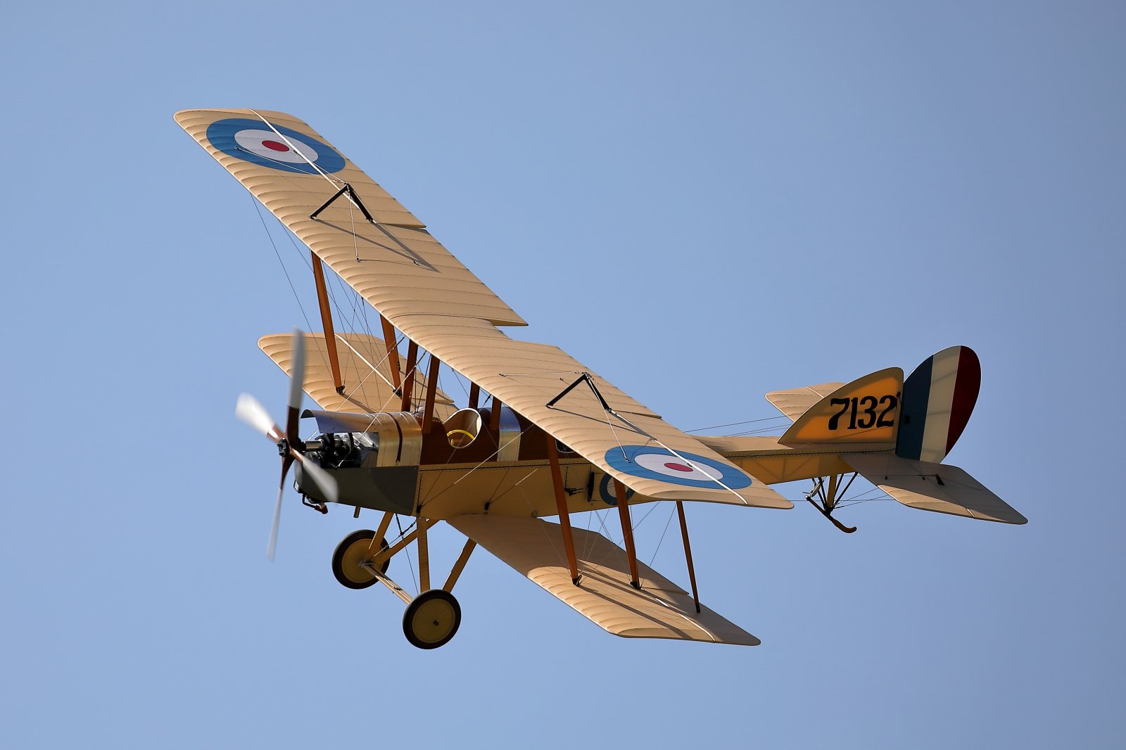BE2e 2.JPG