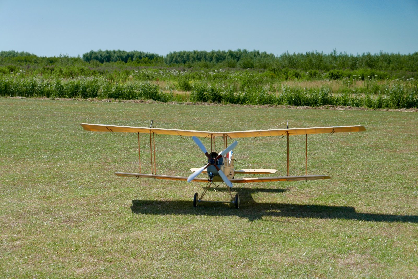 BFC33332-FEAC-48F6-92C7-6EA10CA651C0.jpeg