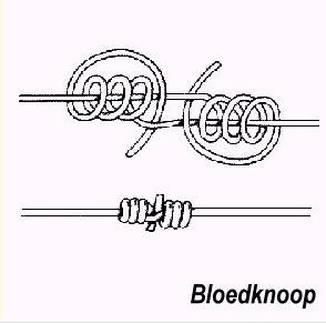 bloedknoop.jpg