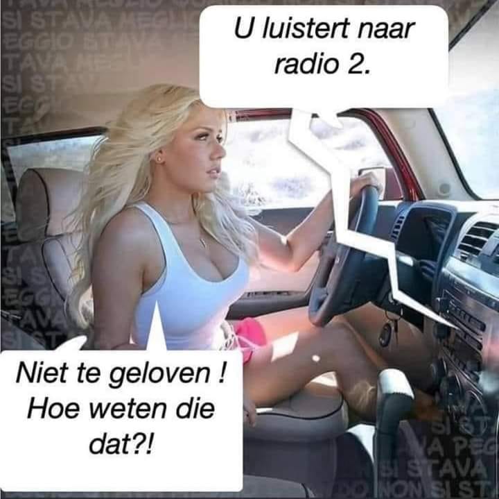 blond.jpg