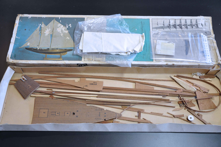 BlueNose3.jpg